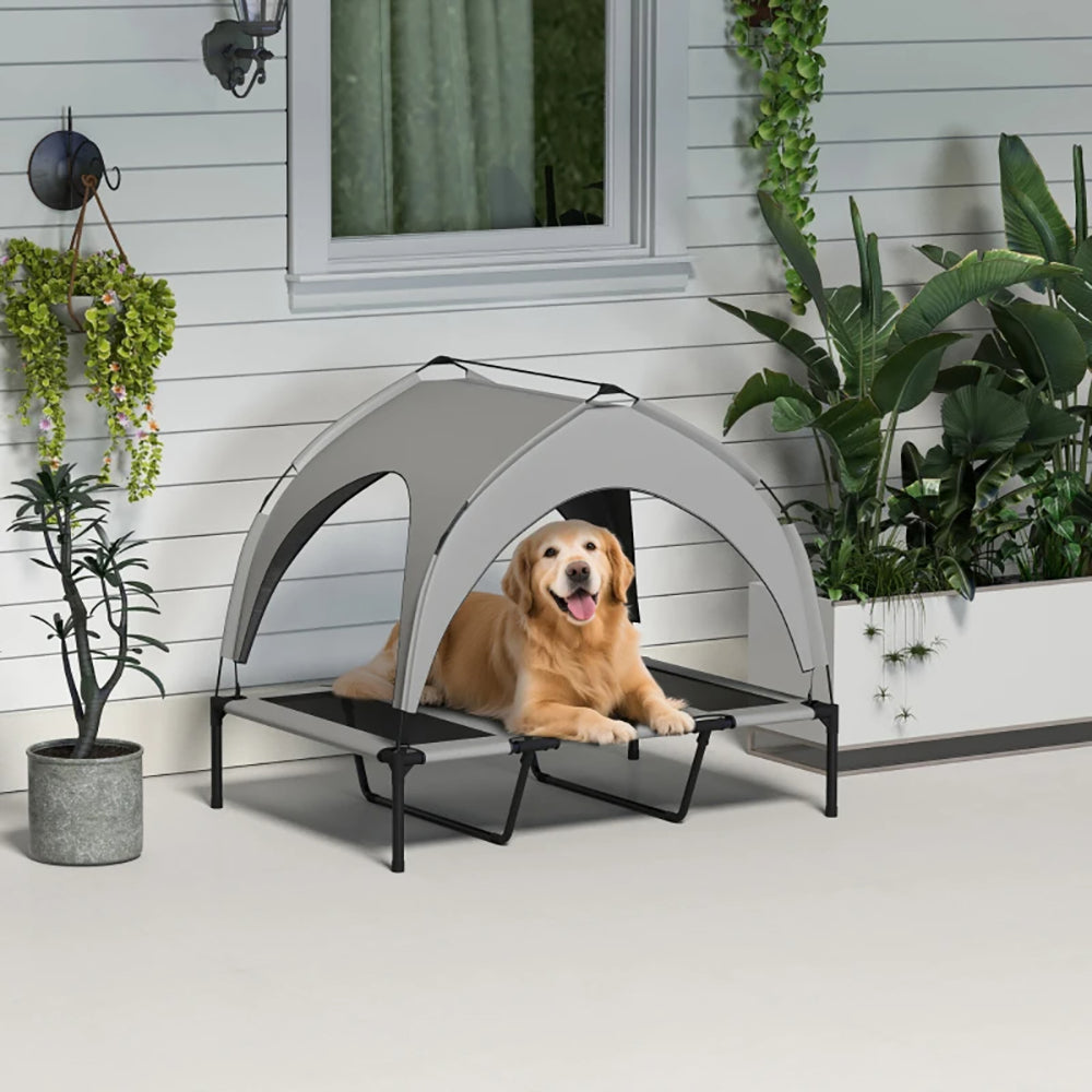 Elevated Dog Bed with Canopy