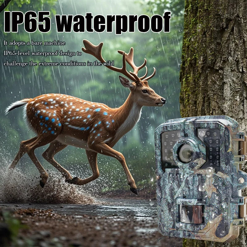 Mini Trail Hunting Camera Wild Hunter Camera 16MP 1080P Wildlife