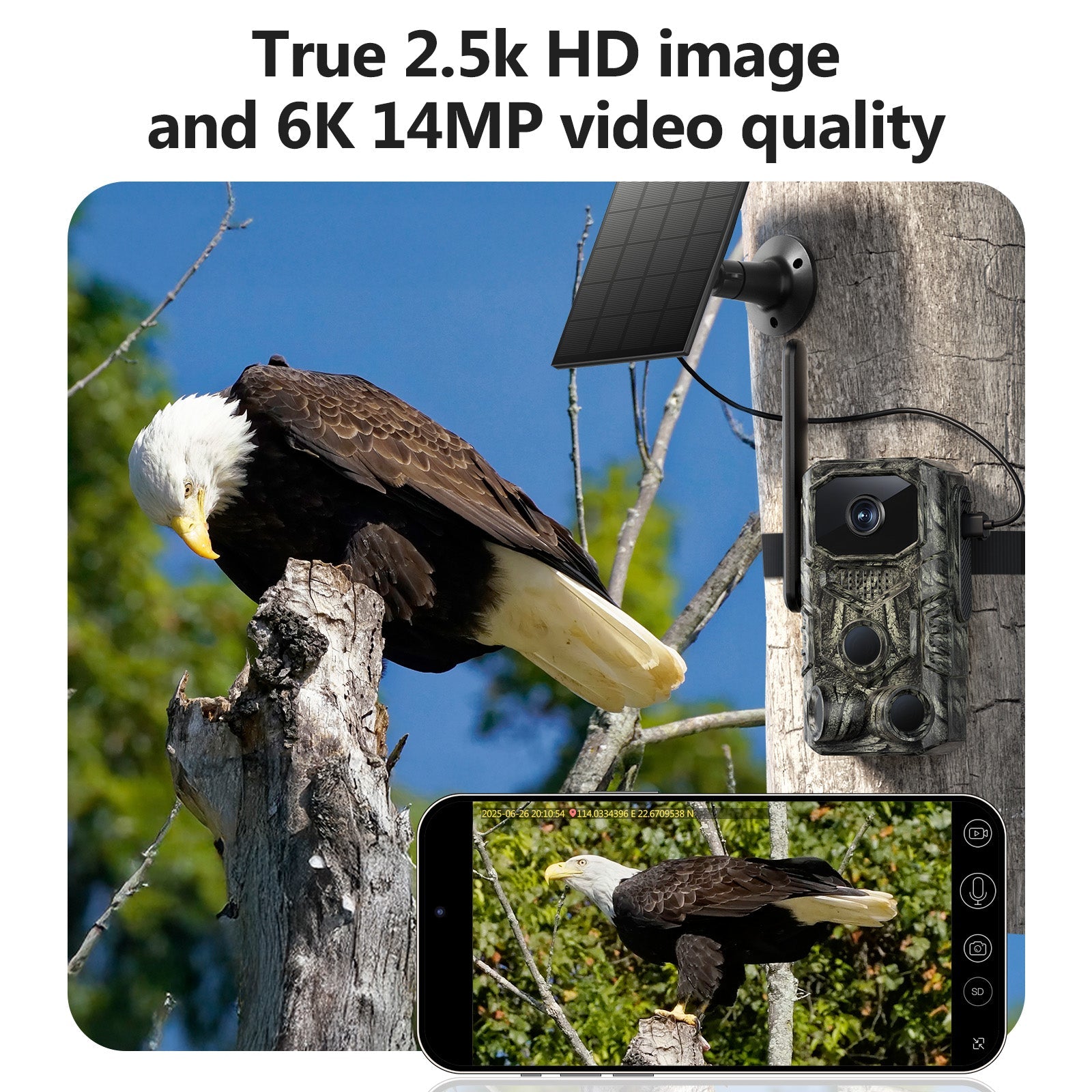 4G GPS Hunting Outdoor Trail Camera Wide Angle 4MP Camouflage Wildlife
